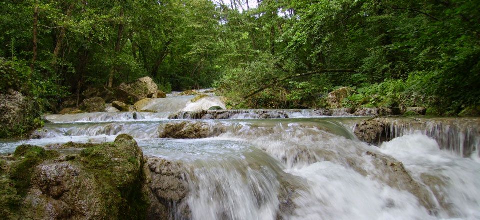 Riserva Naturale Monterufoli – Caselli